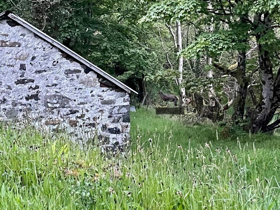 John The Mills Cottage Spahot Tub Private Beach Donegal Town Luaran gambar